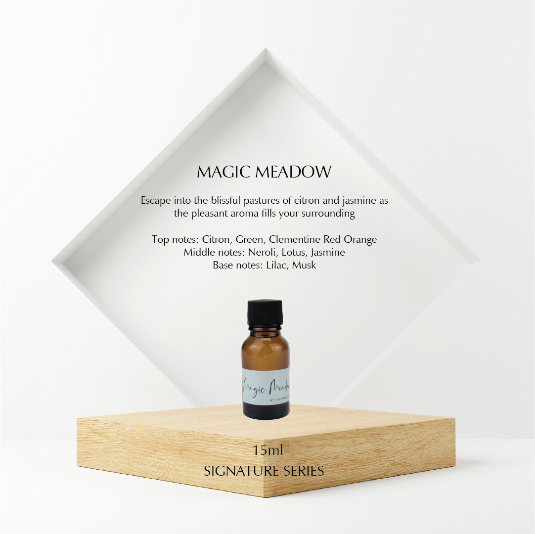 Multi-Functional Aroma Diffuser in Gold + 15ml Fragrance Oil