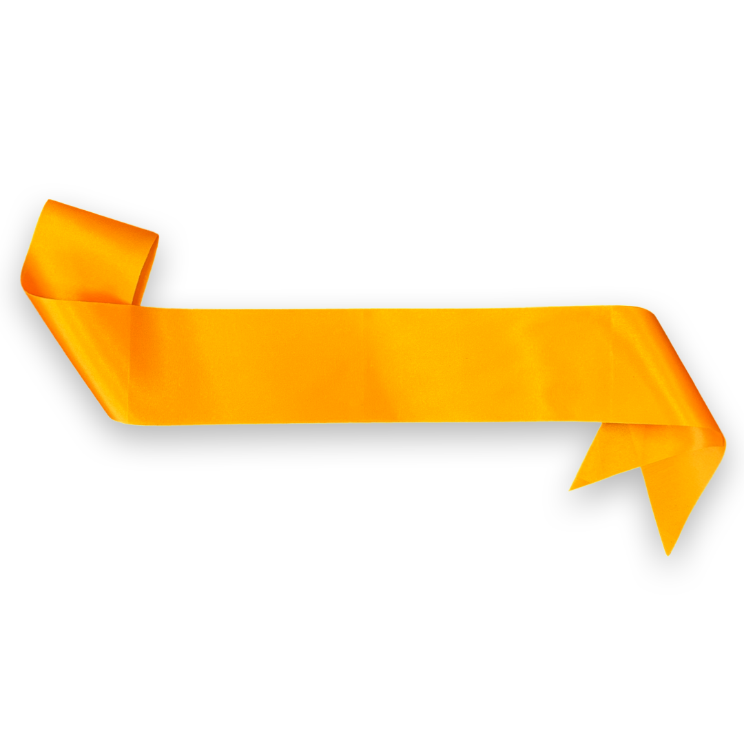 Satin Orange Party Sash Personalised Custom Text Corporate D&D Bachelorette Birthday Pageant
